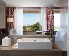 Стандартный номер с двуспальной кроватью и видом на Парк в Swissotel Resort Сочи Камелия