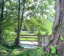 Двухместный коттедж Economy двуспальная кровать в Страна Души