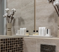 DeLuxe Room в Tverskoy Boutique Hotel Sleepy Tom