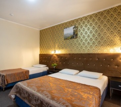 Четырехместный Комфорт в Golden Kids