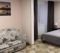 Студия с 1 двуспальной кроватью 230, 346. в Полёт