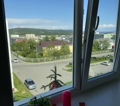 Двухместные апартаменты (двуспальная кровать) в Квартира на Улице Скуридина 6А