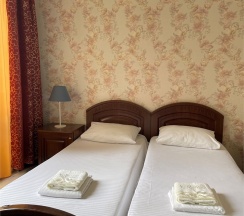 Стандарт в Лиза