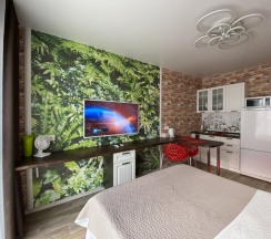 Двухместный номер с двуспальной кроватью в Loft Apartments
