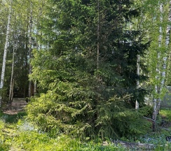 Дом в Виктория