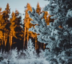 Люкс с балконом в Арслан