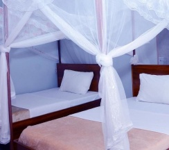 Одноместный номер Standard в Jaguar Guest House