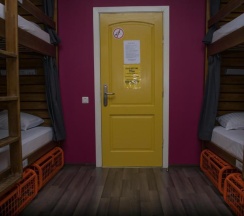 Кровать в общем номере в Naughty Squirrel Backpackers Hostel