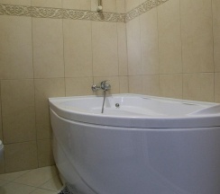 Номер стандарт улучшенный с 1 двуспальной кроватью в Россия