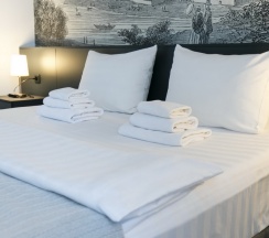 Стандарт 301 в Никольский