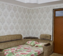 Эконом 3 в Элизиум