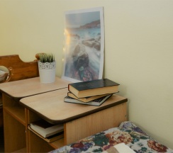 Стандартный 3х местный номер 2 этаж в Green oasis Vavilon