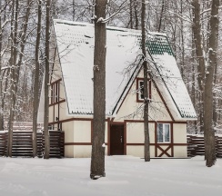 Коттедж VIP в Дубрава