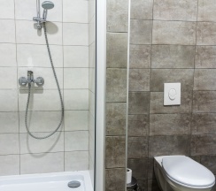 Стандарт  в Аристоль