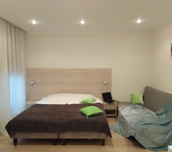 Делюкс студия в Максимус на Петроградке