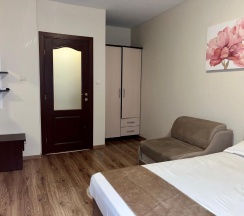 Апартаменты в Hotel Silver