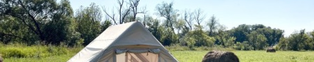 Шатер палатка в Соты&Варенье