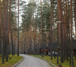 номер люкс №21,22 мансарда в Green village