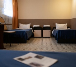 Эконом трехместный в Курский соловей