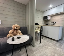Студия c 1 комнатой в Гостевой дом Петрова