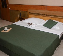 Номер люкс с 1 двуспальной кроватью в Калина