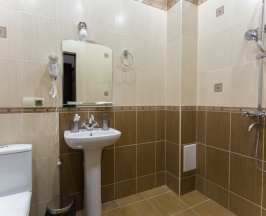 Стандарт в Беркут