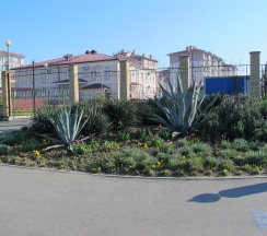 Квартира в Апартаменты на Сочи,ул. Старообрядческая д. 62