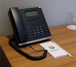 Делюкс в Edelweiss Grozny Hotel