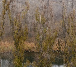 Номер Полулюкс 2-6 в Интурист