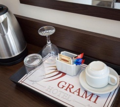 Одноместный номер Executive в Grami Hotel Sofia