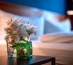 Номер Superior в ACHAT Hotel Dresden Altstadt
