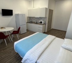 1-комнатные апартаменты студия с 1 двуспальной кроватью в Баринн