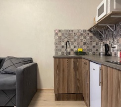 Евро-двухкомнатные апартаменты ЖК "LIKE" (Метро Площадь Мужества, 10 минут пешком) в Rauktis apartments