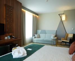 Номер Double Privilege в Mercure Саранск Центр