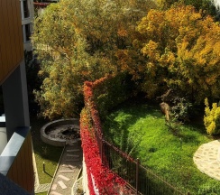 Квартира в Goodwill