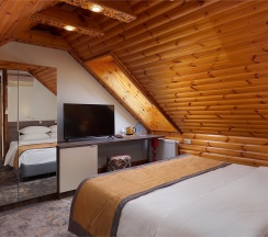 Номер Стандарт с общей кроватью корпус "Усадьба" в Горячие ключи