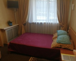 Номер стандарт комфорт с 1 двуспальной кроватью в Арт-отель