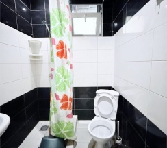 2 х местный стандарт в Диана