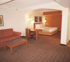 Номер в La Quinta Inn by Wyndham Austin Capitol / Downtown