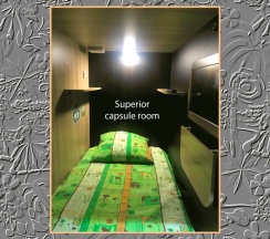 Улучшенная одноместная капсула (Superior) в Алоха