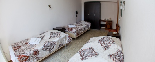 Эконом трехместный в Царицынская