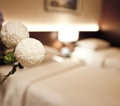 Одноместный номер Standard в Four Points by Sheraton Josun, Seoul Station