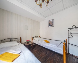 Двухместный номер Эконом в Шаболовка