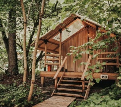 SUITE в Лес