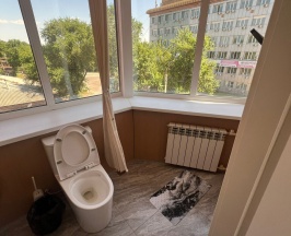 Бизнес  в Liz