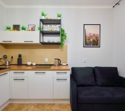 1-комнатные апартаменты стандарт Япония в Your Place Парк Галицкого