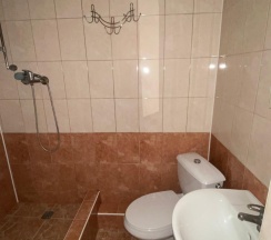 Номер комфорт с 1 двуспальной кроватью в Арина
