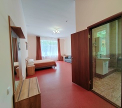 ДЕЛЮКС (без балкона) в Хвалынский Парк-Отель & SPA