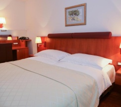 Двухместный номер Standard 2 отдельные кровати в Hotel Croatia