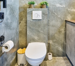 Glassbox 108 Premium в Домик в Икше